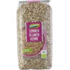 Seminte de Floarea Soarelui Bio Dennree 500 g